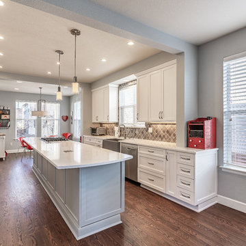 STAPLETON FULL HOUSE REMODEL