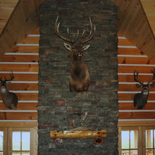 Trophy's
