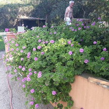 WinouJardinage