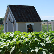 Hubbies chicken coop