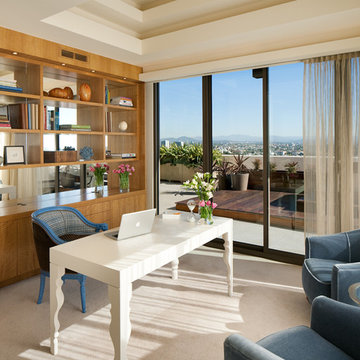 Modern Penthouse