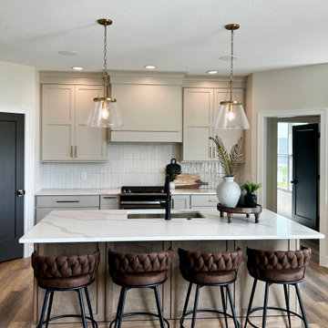 Accessible Beige Painted Kitchen with Birch Almond Accents