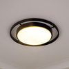 Astra Flush Mount Matte Black With Opal Glass, 16.5