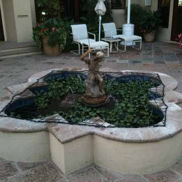 Pond cover