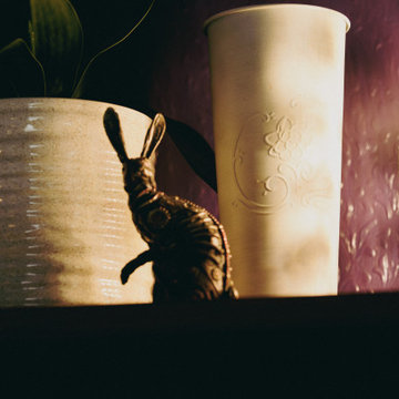 The Rabbit on the Shelf