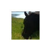 L Manning's photo
