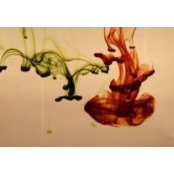 Daniel Felde's photo