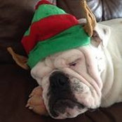 Shelly Hewitt's photo