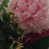 Diane McGirl's photo