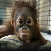 Diane Farrell's photo