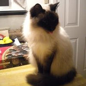 Rosemary Smith's photo