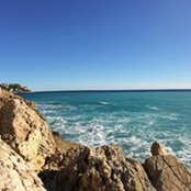 Sandy Leduc's photo