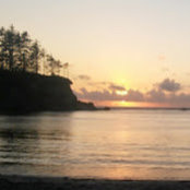 Jessica Walls's photo