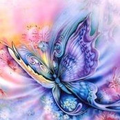 Sheila Clark's photo
