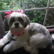 Kim Burd's photo
