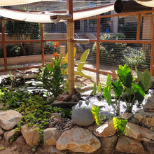 Catio