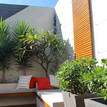 Balmoral NSW - Contemporary Landscape Architecture