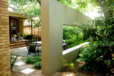 Photo of a contemporary landscaping in Austin.