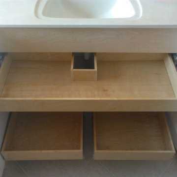 Existing cabinet and vanity pull out shelving