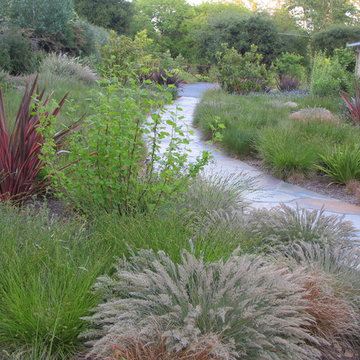 APLD 2011 Gold Award Recipient