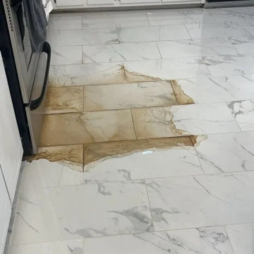 House Cleaning Services