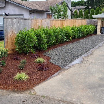 Outdoor Landscape Design