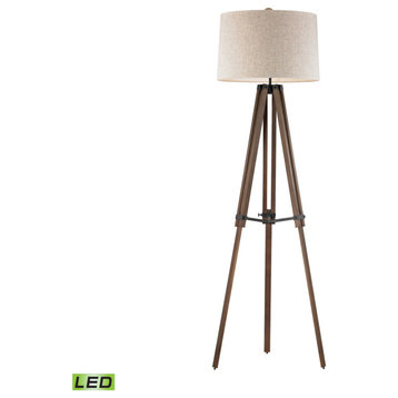 Dimond Lighting D2817-LED 1-Light Floor Lamp