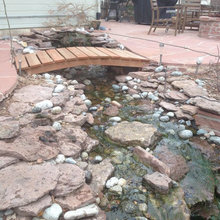 Yard/water Feature