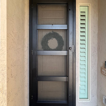 Desert Contemporary Iron Security Door with Bug Screen