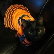 Grace J. Mock's photo