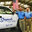 Sheppard's Glass Shop