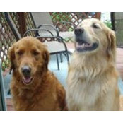 Nancy Malone Tallman's photo
