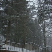 Lori Thayer's photo