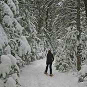 Stephen Christensen's photo