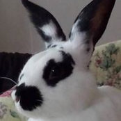 Patty Stephens's photo