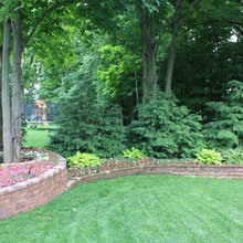trees