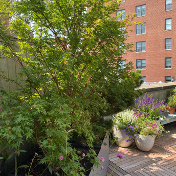 Greenwich Street Secret Garden