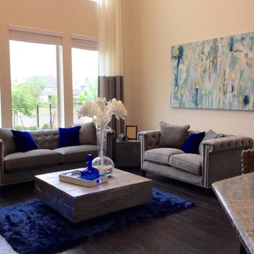 Transitional Houston, TX Home