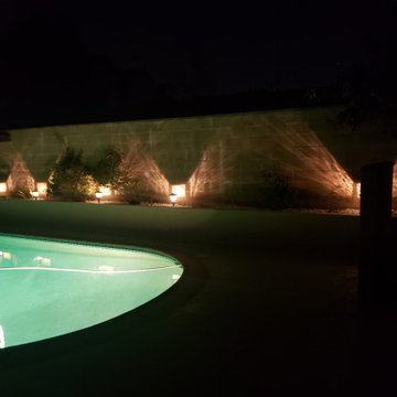 Backyard clean up and remodel