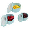 Set of 3 Bowls With Lids Microwave, Freezer, Fridge Safe Nesting Mixing Bowls