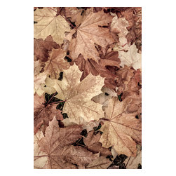 Douglas Page Photographic Arts - Autumn Leaf Design 2, Canvas Giclee, 16"x24" - Prints And Posters