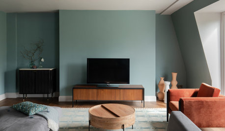 Houzz Tour: A Time-warp Apartment Gets a 21st Century Redesign