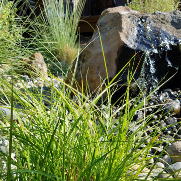 Backyard Garden Retreat