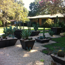 Landscaping