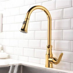 Antique Brass Golden Printed Pull Out Kitchen Sink Faucet TF0415G - Kitchen Faucets
