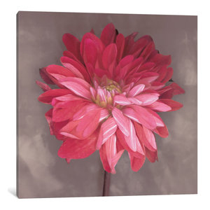 iCanvasART Quiet Forest Canvas Print by Erin Clark 37 x 37