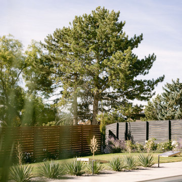 Backyard Landscape For Modern Home