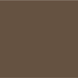 Dulux Squirrel - Paint