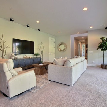 Media Room in Daylight Basement : The Cadence : 2018 Parade of Homes