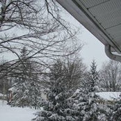 Beverly Fraser's photo